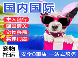 宁蒗泸沽湖机场邮寄国际宠物托运 【国